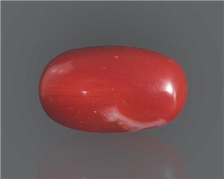 Natural Red Coral (J)  9.02 RTS - 64995